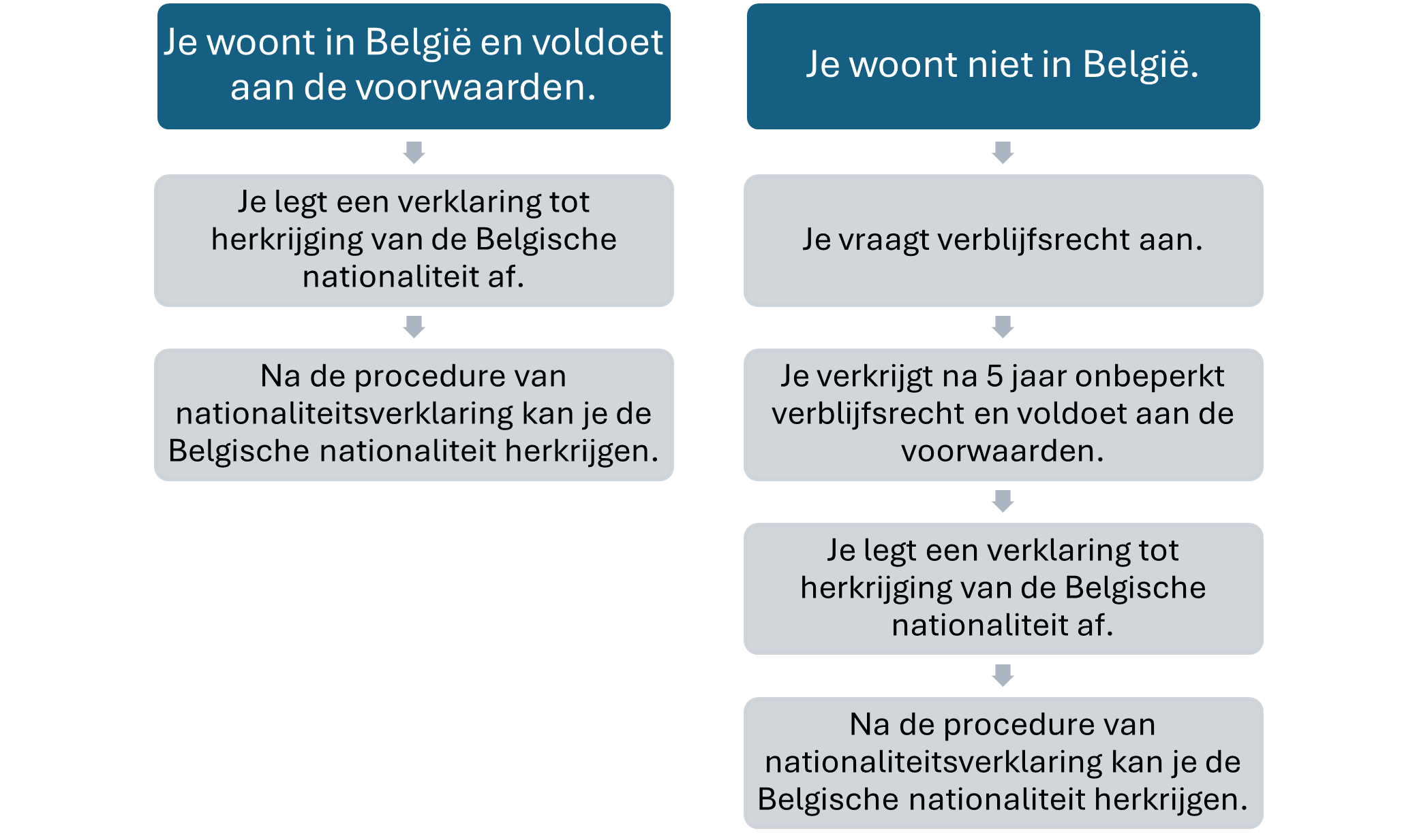 Schematische voorstelling